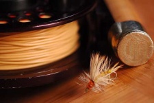 image of reel