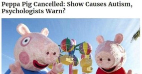 image of pig