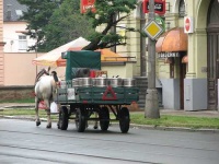 image of horse_cart #19