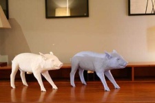 image of piggy_bank