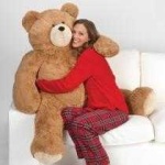 image of teddy_bear