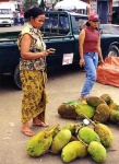 image of jackfruit