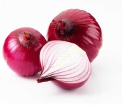 image of onion #17