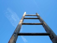 image of ladder #25