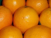 image of orange #20