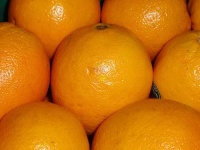 image of orange