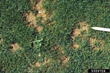 image of texture