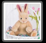 image of teddy_bear