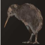 image of bird