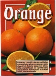 image of orange #32