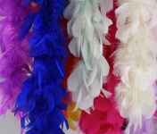 image of feather_boa