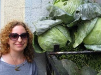 image of head_cabbage