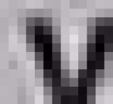 image of char