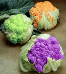 image of cauliflower
