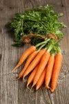 image of carrot #2