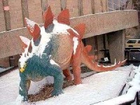 image of stegosaurus