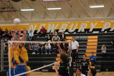 image of volleyball