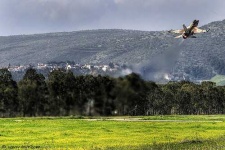 image of wing