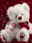 image of teddy_bear