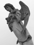 image of angel
