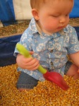 image of corn
