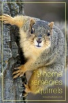 image of animal