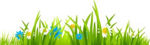 image of grass