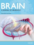 image of brain #12