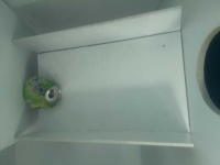 image of can