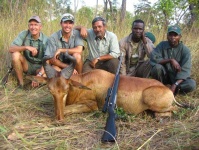image of hartebeest