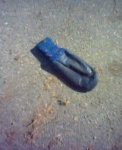 image of mitten