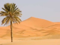 image of desert