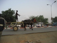image of horse_cart #1