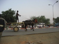 image of horse_cart
