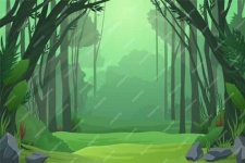 image of jungle