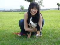 image of bernese_mountain_dog