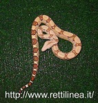 image of boa_constrictor #29