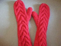 image of mitten