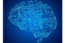 image of brain
