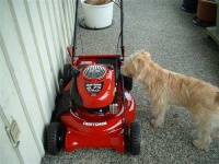 image of lawn_mower
