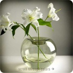 image of vase