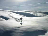 image of alp