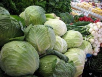image of head_cabbage