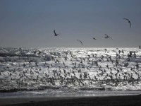 image of seashore
