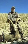 image of ibex