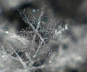 image of snowflake