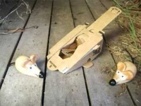image of mousetrap