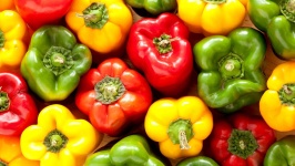 image of Capsicum