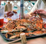 image of rock_crab