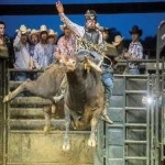 image of bull_riding #21